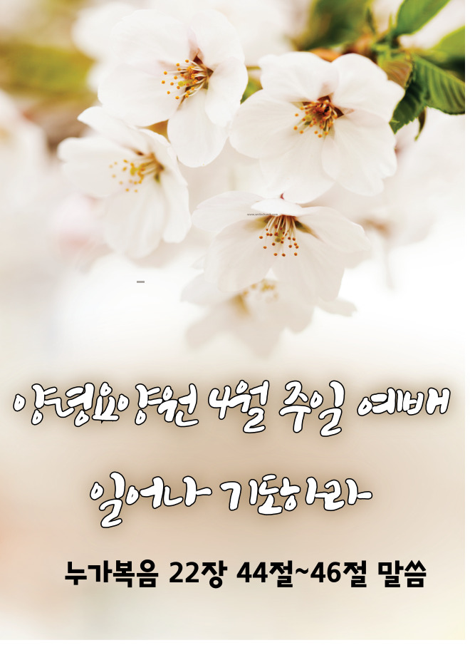 25.04.13 주일예배