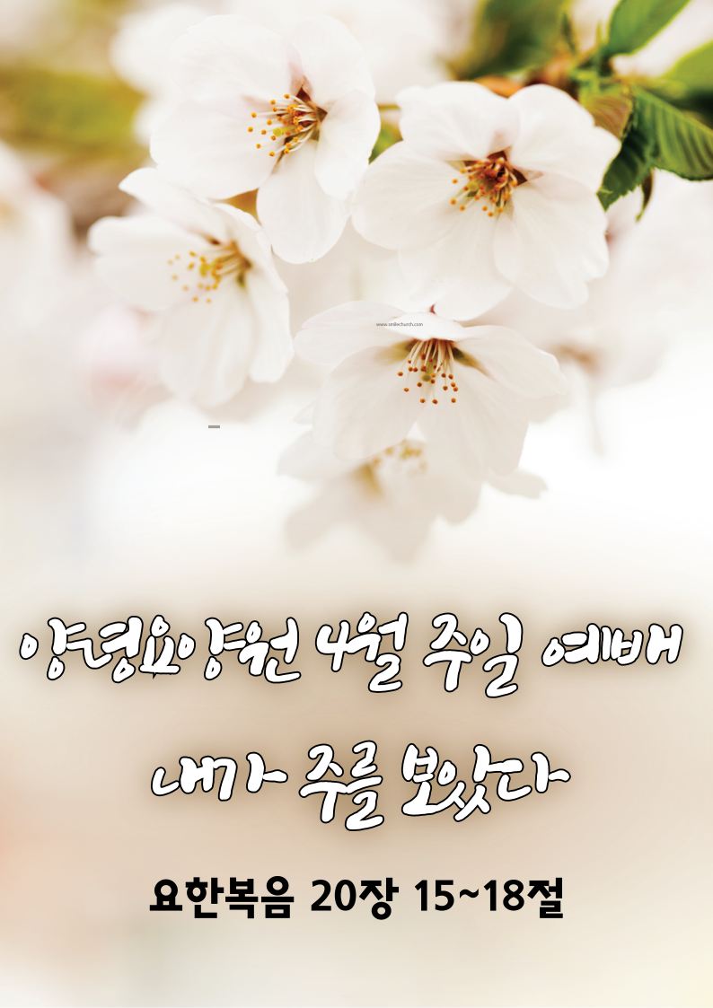 25.04.20 주일예배